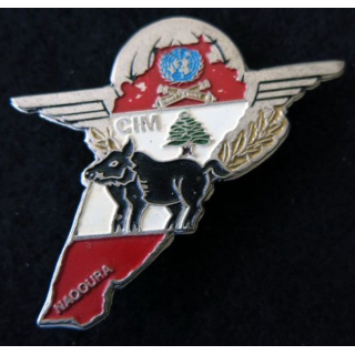 35°RAP : 35°régiment artillerie para CIM 420°DSL Naqoura