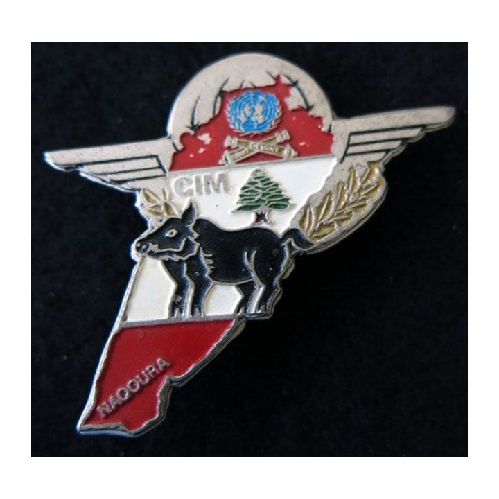 35°RAP : 35°régiment artillerie para CIM 420°DSL Naqoura