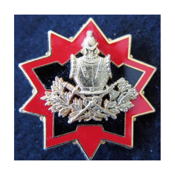 DCG : Insigne métallique de la direction centrale du Génie de fabrication Drago Noisiel G. 3331