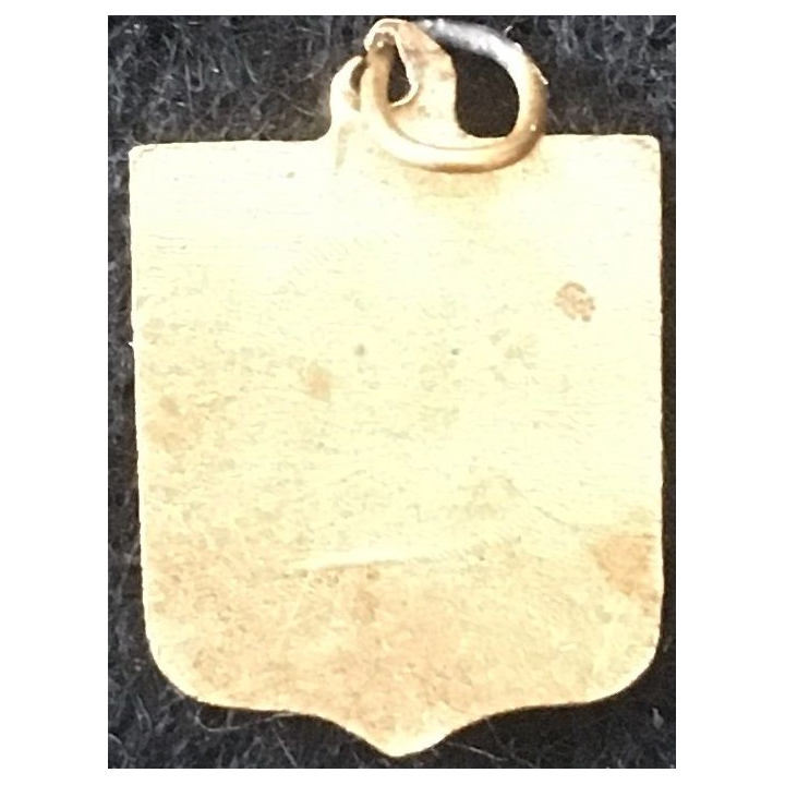 BLASON TOURAINE : insigne métallique ancien blason en émail de la Touraine 11 x 16 mm argenté anneau
