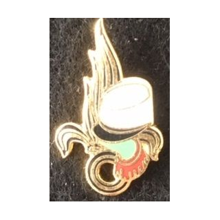 AALE : pin's métallique de l’amicale des anciens de la Légion Étrangère métal doré