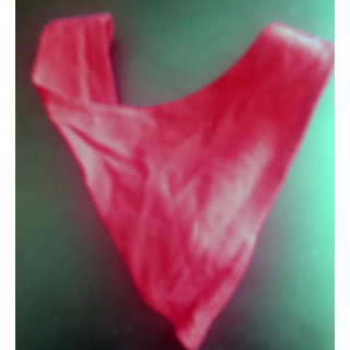 Foulard rouge de compagnie