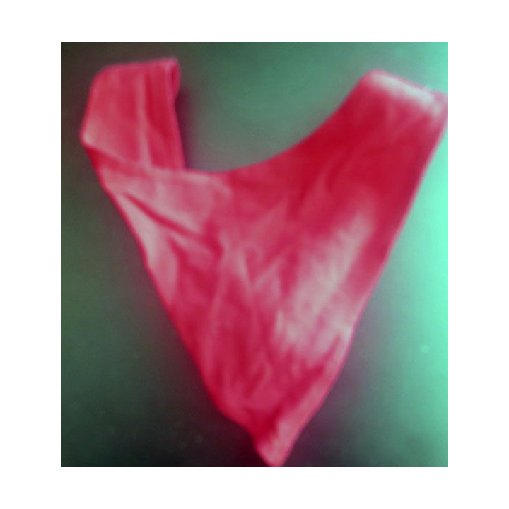 Foulard rouge de compagnie