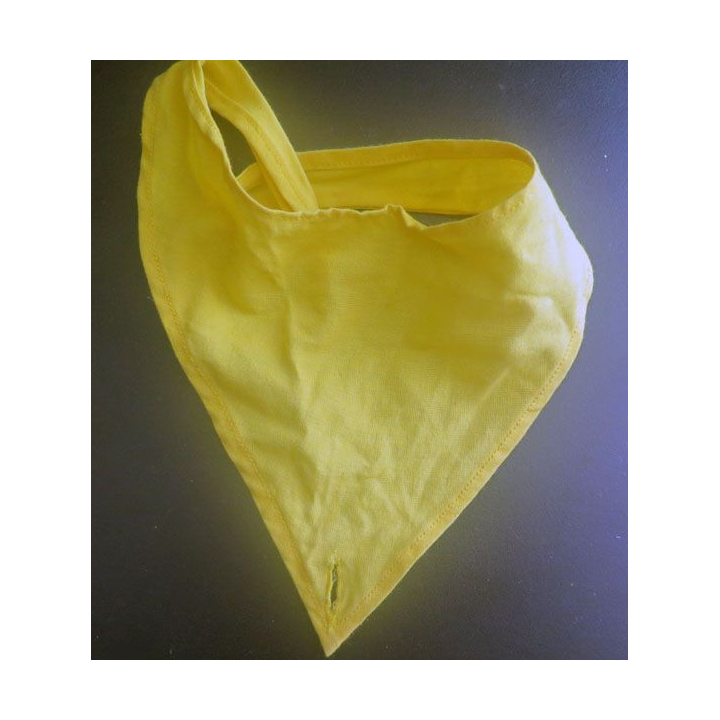 Foulard jaune de compagnie