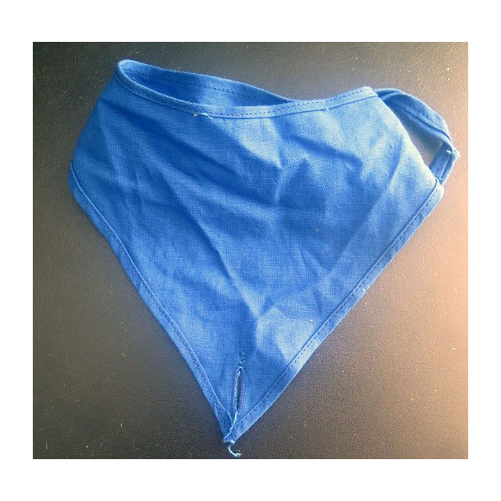 Foulard bleu de compagnie