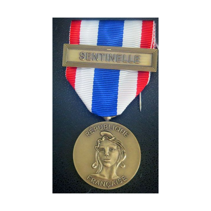 Médaille de la protection militaire du territoire en bronze Sentinelle