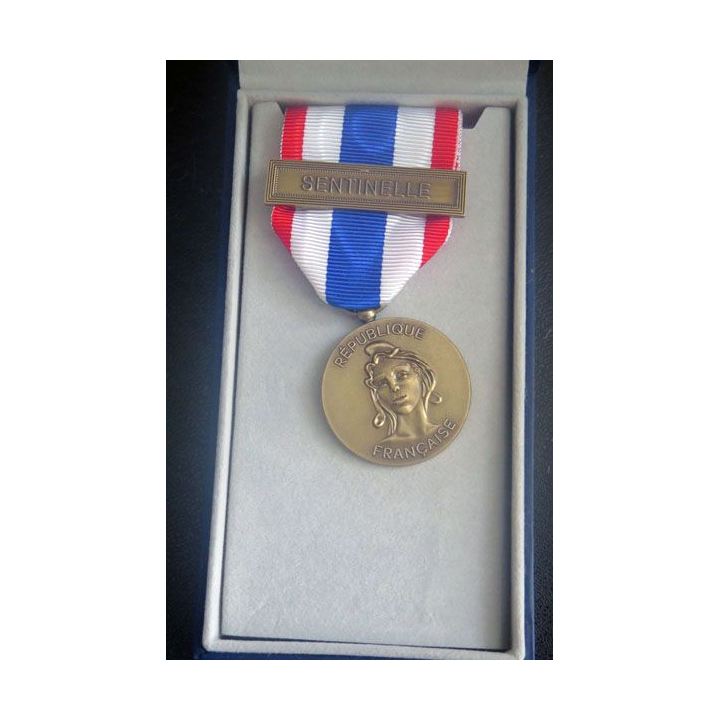 Médaille de la protection militaire du territoire en bronze Sentinelle