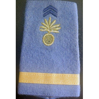 Fourreau de sous lieutenant écoles 