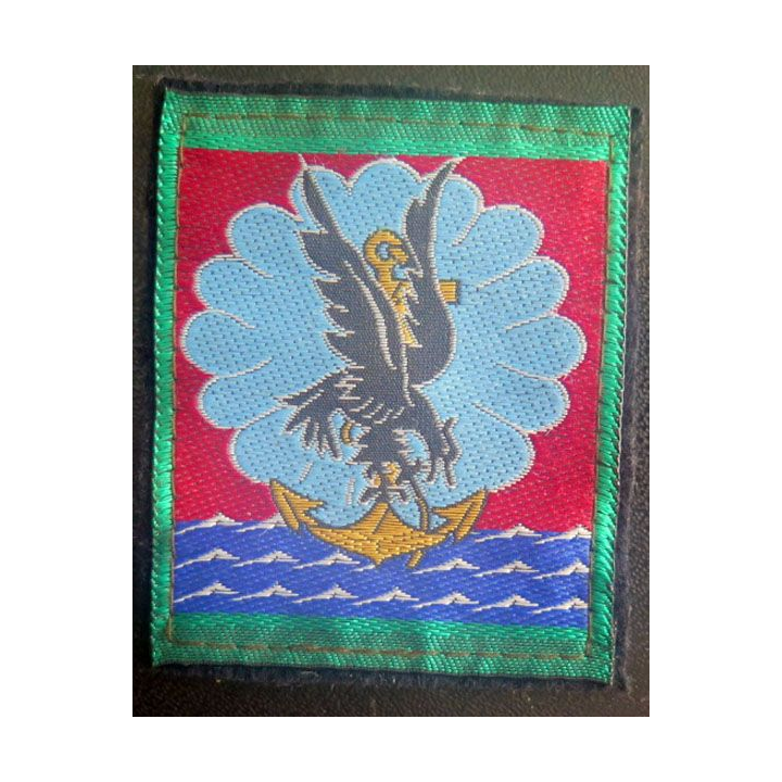 11° DP 11° division parachutiste vert clair autour  5 x 6,5 cm 