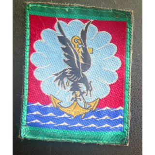 11° DP 11° division parachutiste vert clair autour  5 x 6,5 cm 