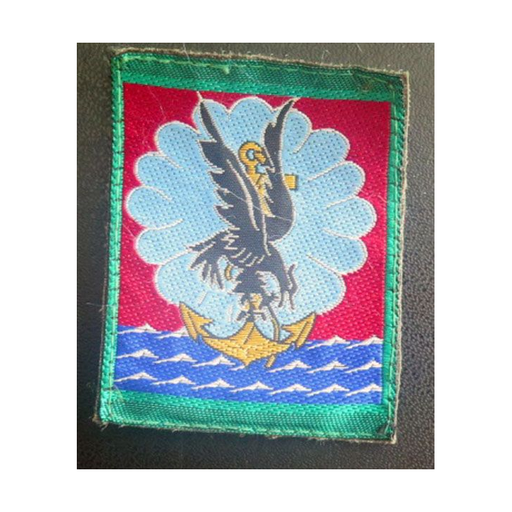 11° DP 11° division parachutiste vert clair autour  5 x 6,5 cm 