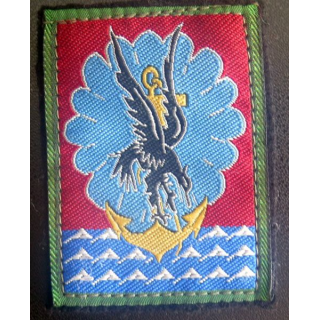 11° DP : insigne tissu de la 11° division parachutiste