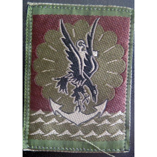 11° DP insigne tissu basse visibilité de la 11° division parachutiste