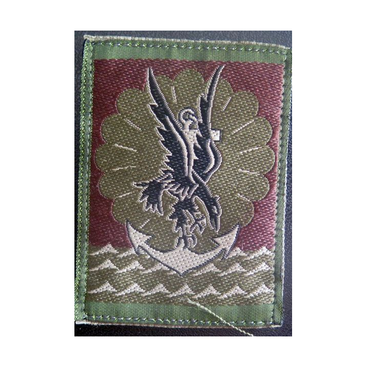 11° DP insigne tissu basse visibilité de la 11° division parachutiste