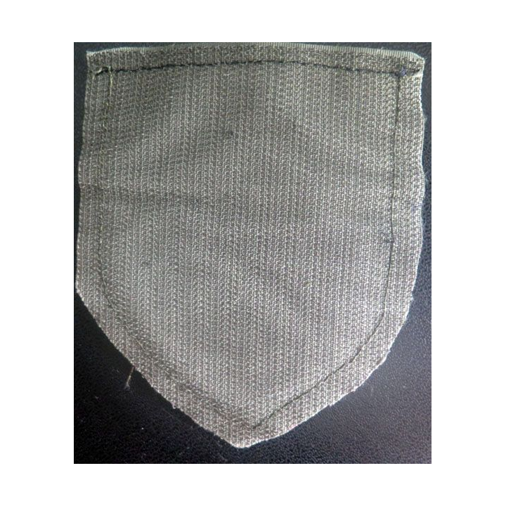 8° RPIMA insigne tissu du 8° Régiment parachutiste infanterie  marine 