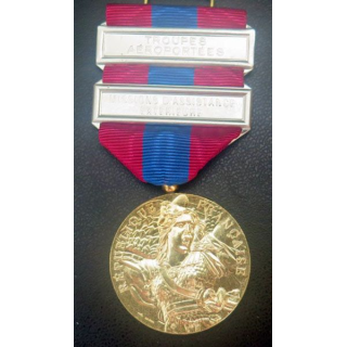 FRANCE médaille de la défense nationale barrette TAP et MAE