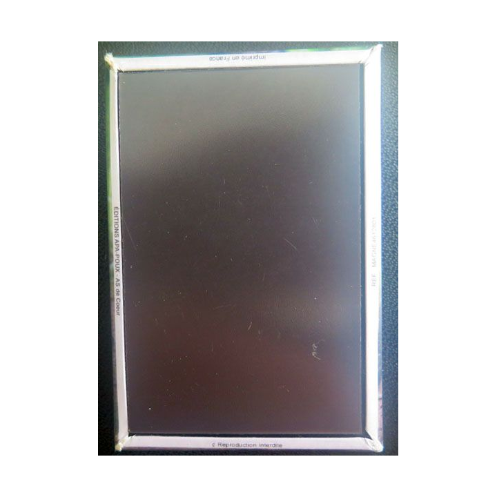 MAGNET FRIGO Parc de Gramat représentant une louve et ses louveteaux 5,5 x 8 cm