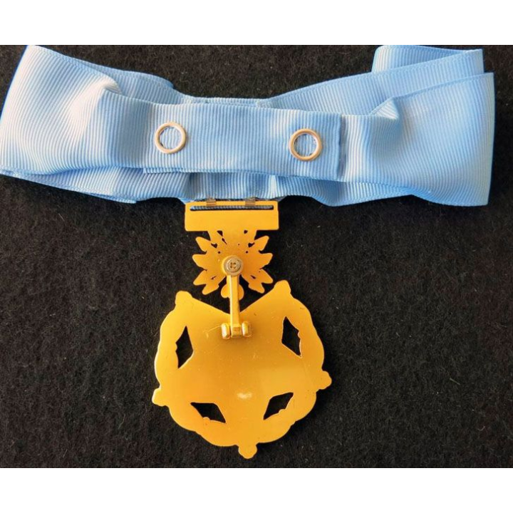 USA : médaille d'honneur "Medal of Honor" de l'US Air Force ruban  état neuf
