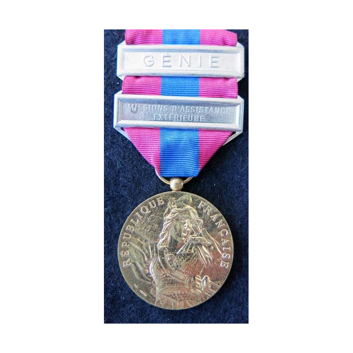 FRANCE : médaille de la défense nationale type bronze avec barrettes "Génie et MAE "