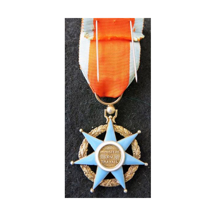 FRANCE : Médaille d'officier de l'Ordre du Mérite Social en émail superbe