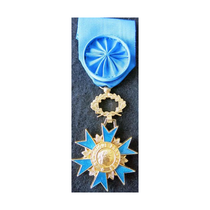 FRANCE : médaille d'officier de l'Ordre National du Mérite en bronze doré état neuf