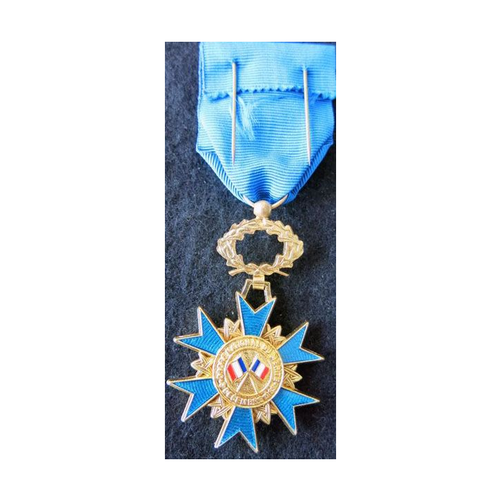 FRANCE : médaille d'officier de l'Ordre National du Mérite en bronze doré état neuf