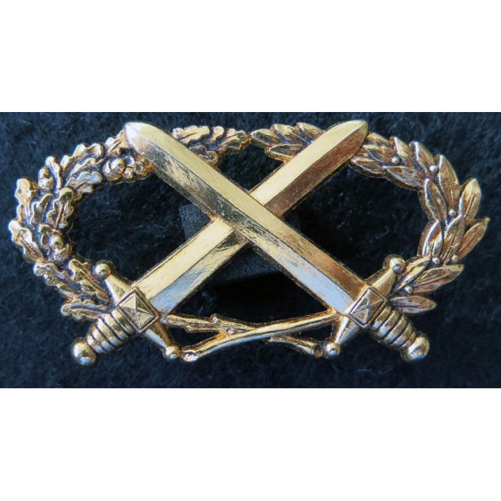 BMP2 : insigne du brevet militaire professionnel n°2 échelon or Drago attaches pin's
