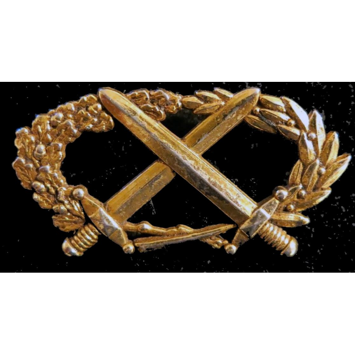 BMP2 : insigne du brevet militaire professionnel n°2 échelon or Coinderoux attaches pin's