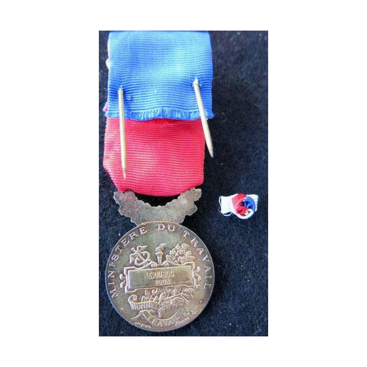 FRANCE : Médaille d'honneur du travail du ministère du travail grade or attribuée à E. Dubosc 1983 en coffret