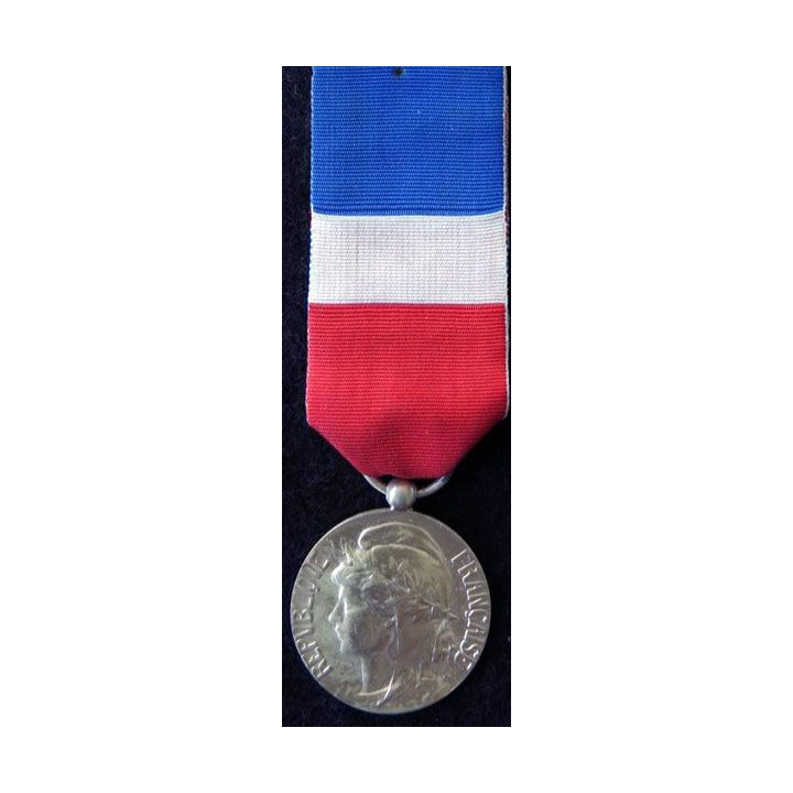 FRANCE : Médaille d'honneur du travail du ministère du travail grade argent attribuée à D. Letellier en 2007
