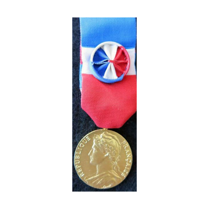 FRANCE : Médaille d'honneur du travail du ministère du travail grade vermeil attribuée à G. Mathieu en 1962
