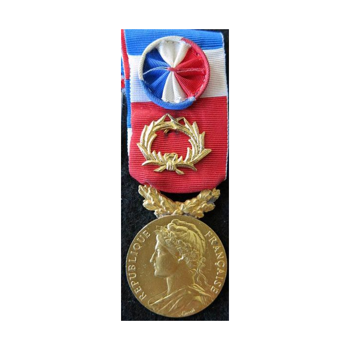 FRANCE : Médaille du travail du ministère du travail et de la sécurité sociale grade grand or attribuée à G. Mathieu 1966