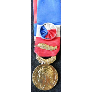 FRANCE : Médaille d'honneur du travail du ministère du travail grade or attribuée à M. Denize
