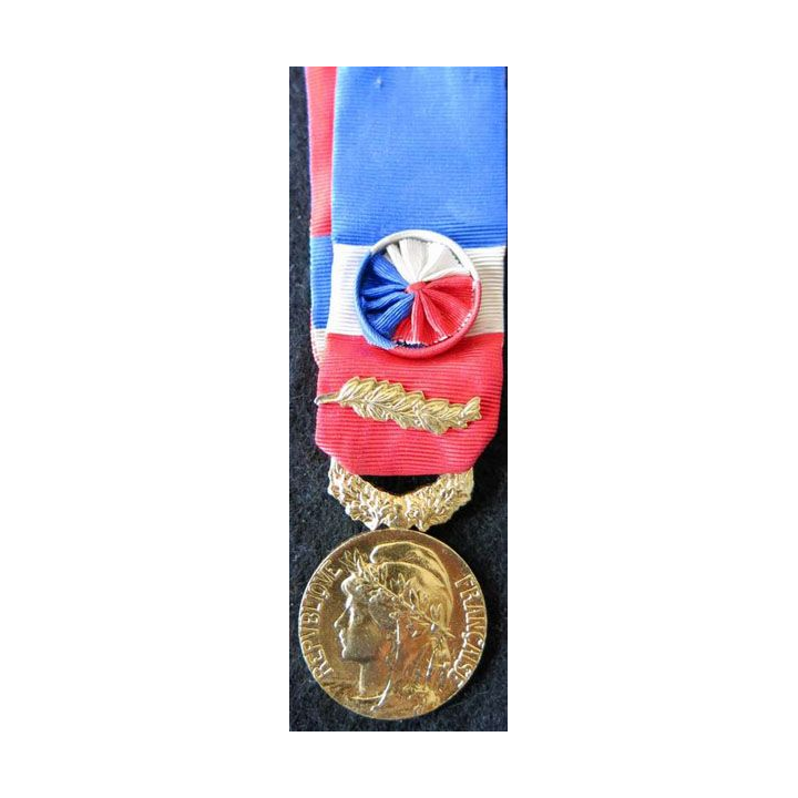 FRANCE : Médaille d'honneur du travail du ministère du travail grade or attribuée à M. Denize