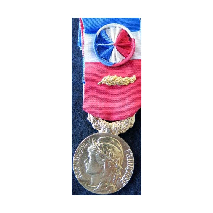 FRANCE : Médaille d'honneur du travail du ministère du travail grade or attribuée à M. Denize