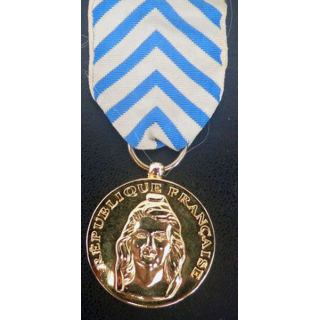 médaille reconnaissance de la Nation