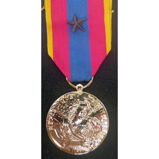 médaille de la défense nationale modèle or avec citation (1 étoile bronze)