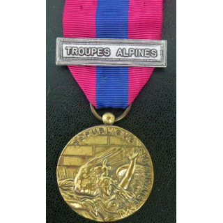 médaille défense nationale barrette "Troupes Alpines"