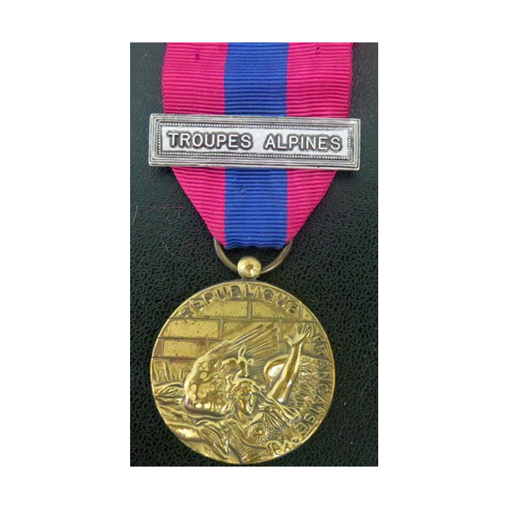 médaille défense nationale barrette "Troupes Alpines"