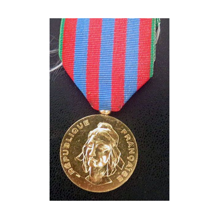 médaille commémorative française 