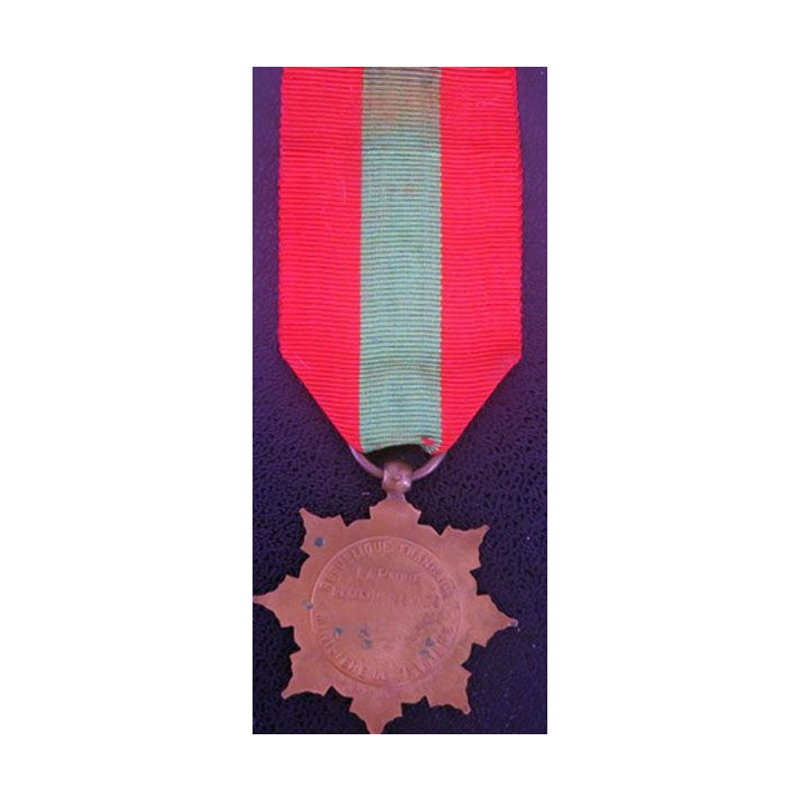 médaille de la famille française la Patrie reconnaissante en bronze