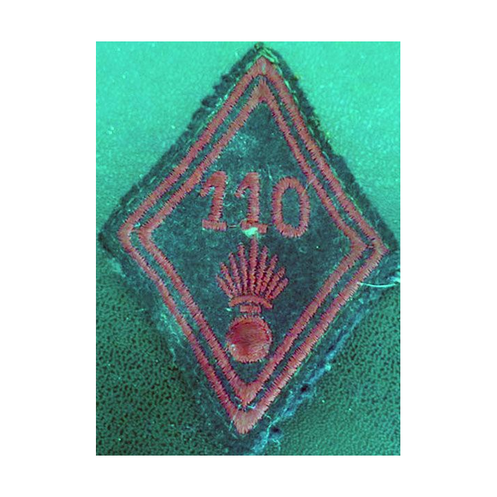 LOSANGE DE BRAS MODÈLE 45 : 110° régiment d'infanterie troupe
