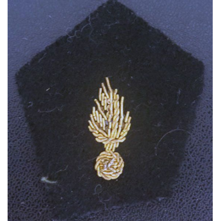 insigne de col : insigne tissu de col du corps des experts grenade cannetille