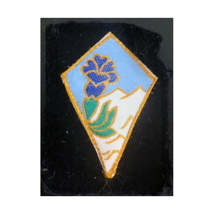 27° DA : insigne tissu de la 27° division alpine