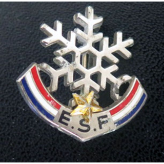 ESF : brevet de l'école du ski français 1 étoile