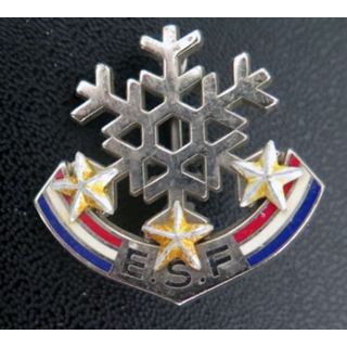 ESF : brevet de l'école du ski français 3 étoiles