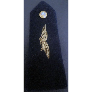 épaulette de soldat de l'armée de l'air avec bouton