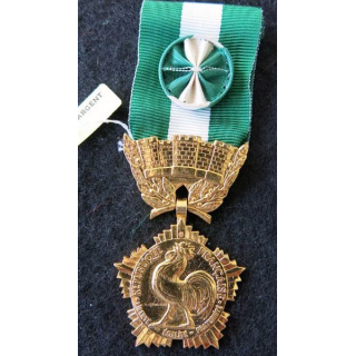 FRANCE :  Médaille d'honneur départementale et communale grade or
