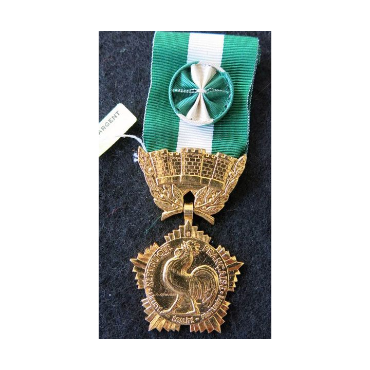 FRANCE :  Médaille d'honneur départementale et communale grade or