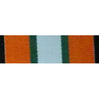 INTERNATIONAL : MULTINATIONAL AND OBSERVERS MEDAL